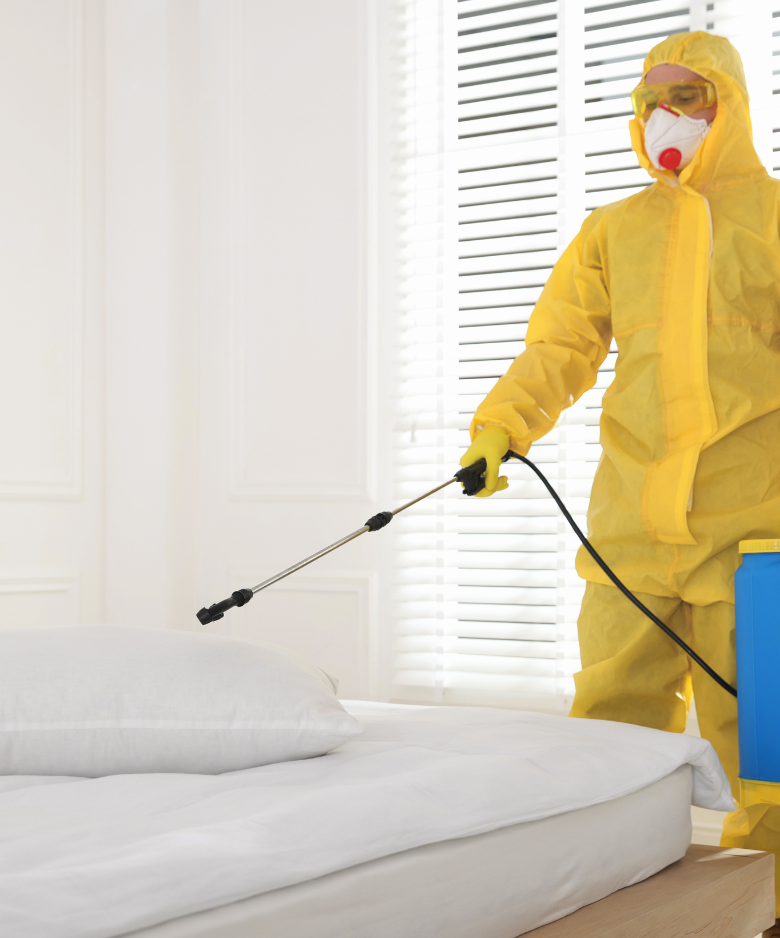 Professional Pest Control Team in Hilton